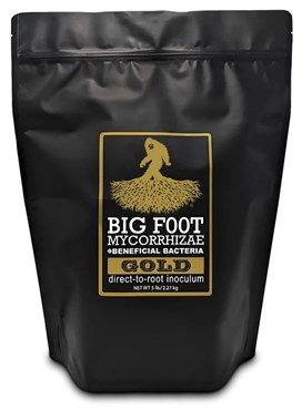 Big Foot Mycorrhizae Gold + Beneficial Bacteria Big Foot Mycorrhizae Gold + Beneficial Bacteria