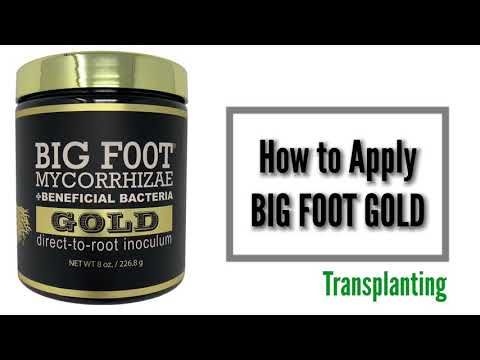 Big Foot Mycorrhizae Gold + Beneficial Bacteria