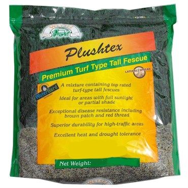 Plushtex Lawn Seed