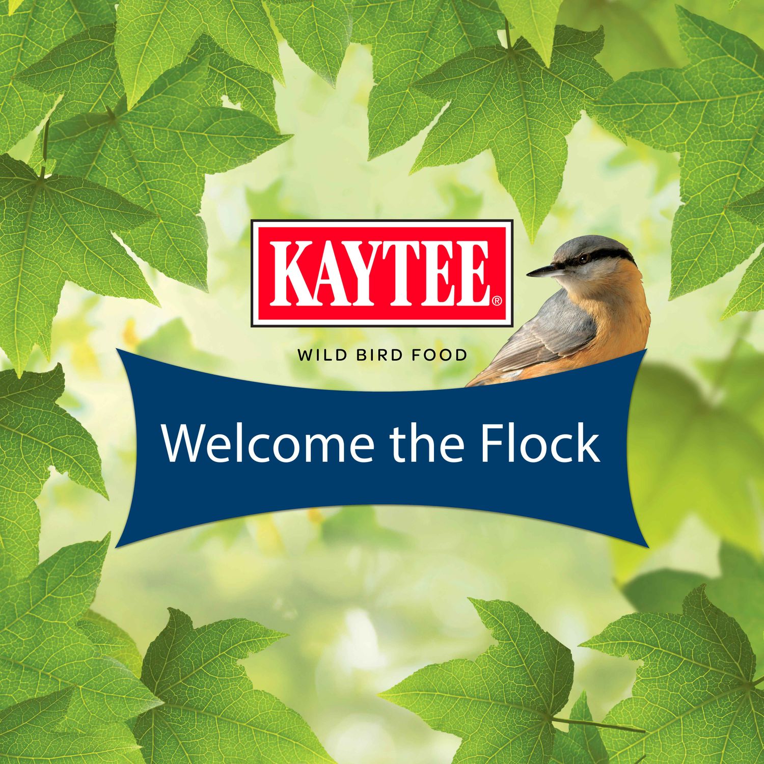 Kaytee® Birders Blend Bird Seed