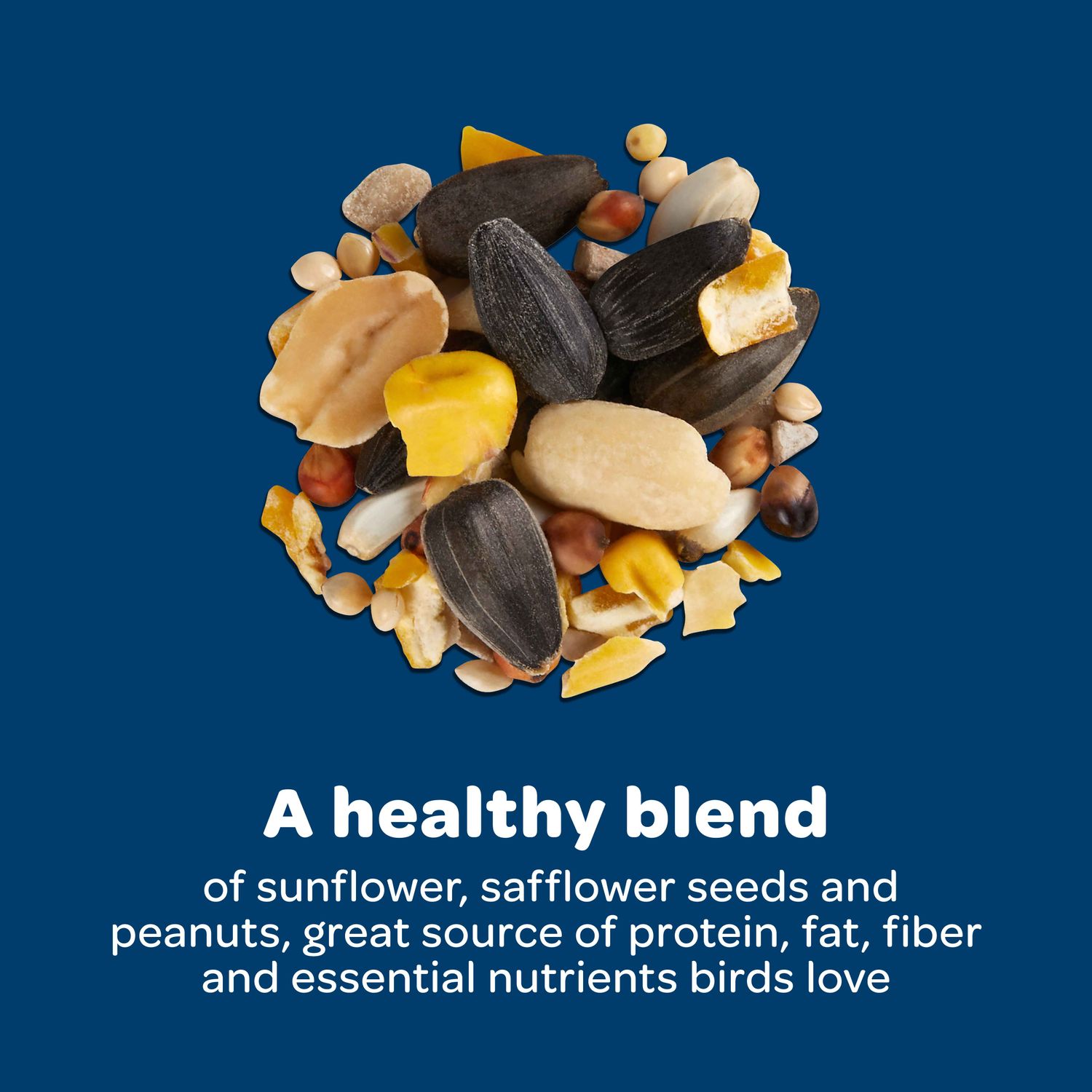 Kaytee® Birders Blend Bird Seed