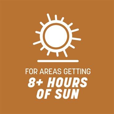 Pennington® Centipede Grass Seed &amp; Mulch