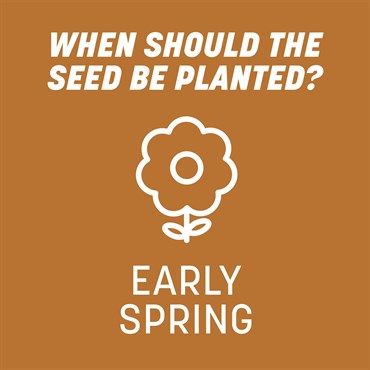 Pennington® Centipede Grass Seed &amp; Mulch