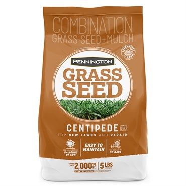 Pennington® Centipede Grass Seed &amp; Mulch