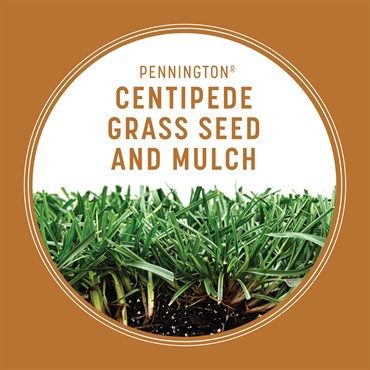 Pennington® Centipede Grass Seed &amp; Mulch