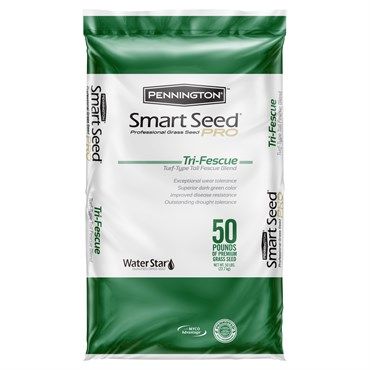 Pennington® Smart Seed® Pro Tri Fescue Tall Fescue