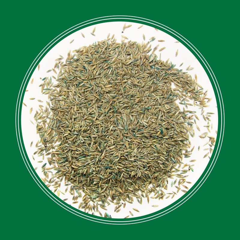 Pennington® Smart Seed® Pro Tri Fescue Tall Fescue