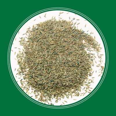 Pennington® Smart Seed® Pro Tri Fescue Tall Fescue