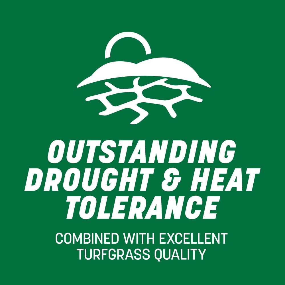 Pennington® Smart Seed® Pro Tri Fescue Tall Fescue