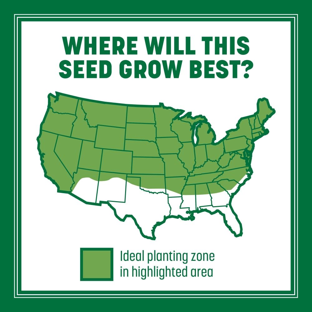 Pennington® Smart Seed® Pro Tri Fescue Tall Fescue
