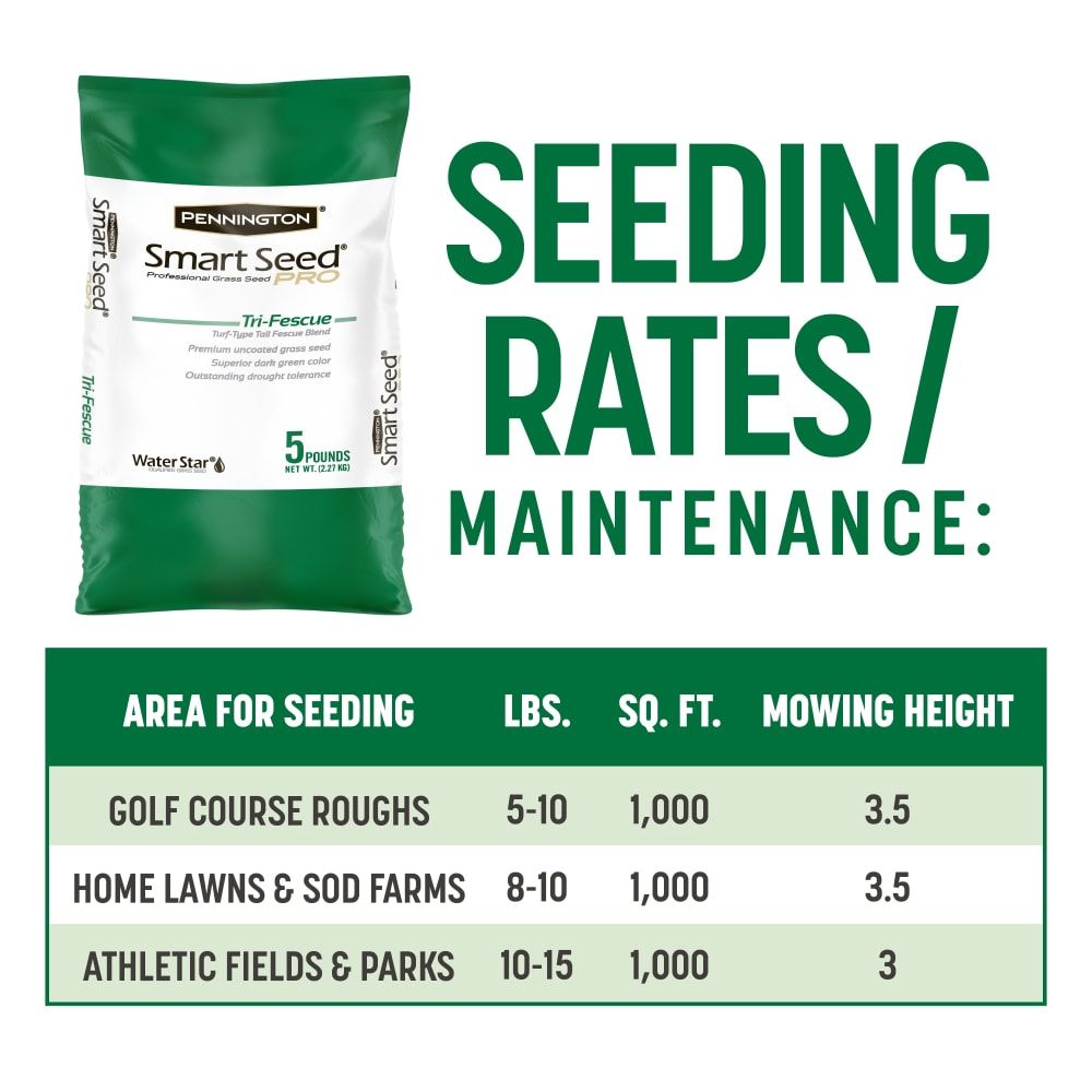 Pennington® Smart Seed® Pro Tri Fescue Tall Fescue