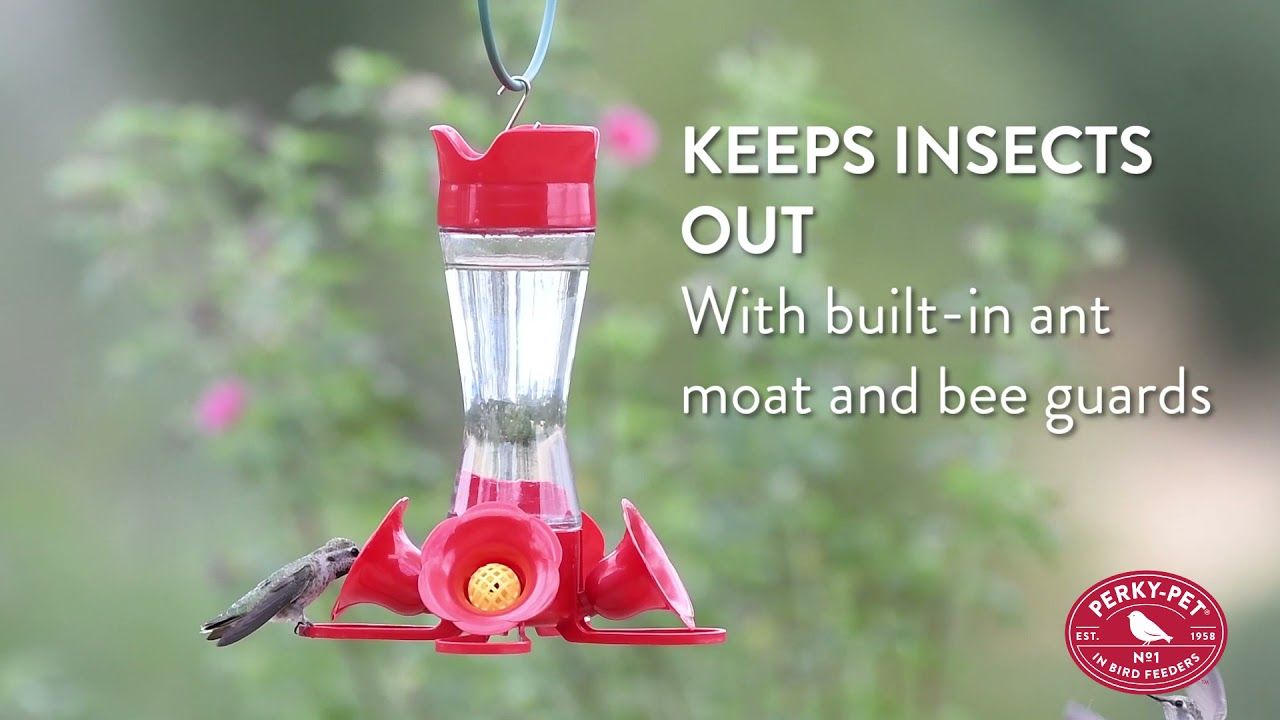 Perky-Pet® Pinch-Waist Hummingbird Feeder