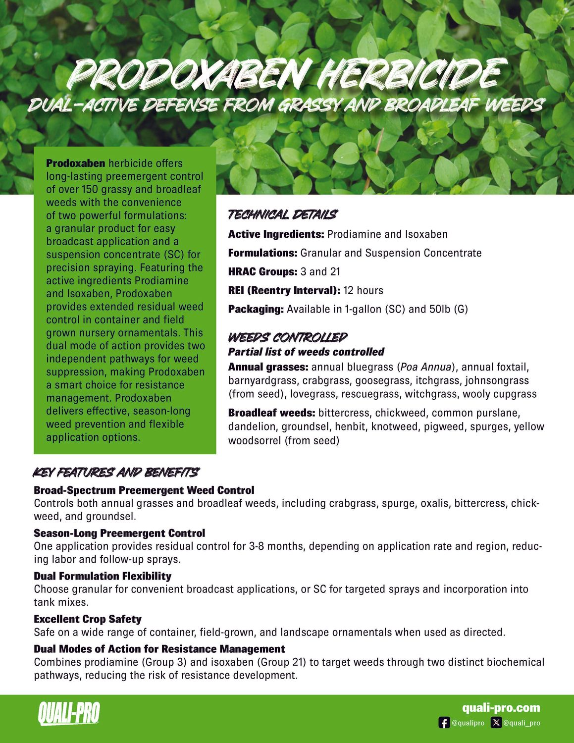 Prodoxaben SC (Quali-Pro)