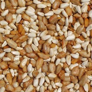 Cole's® Cajun Cardinal Blend