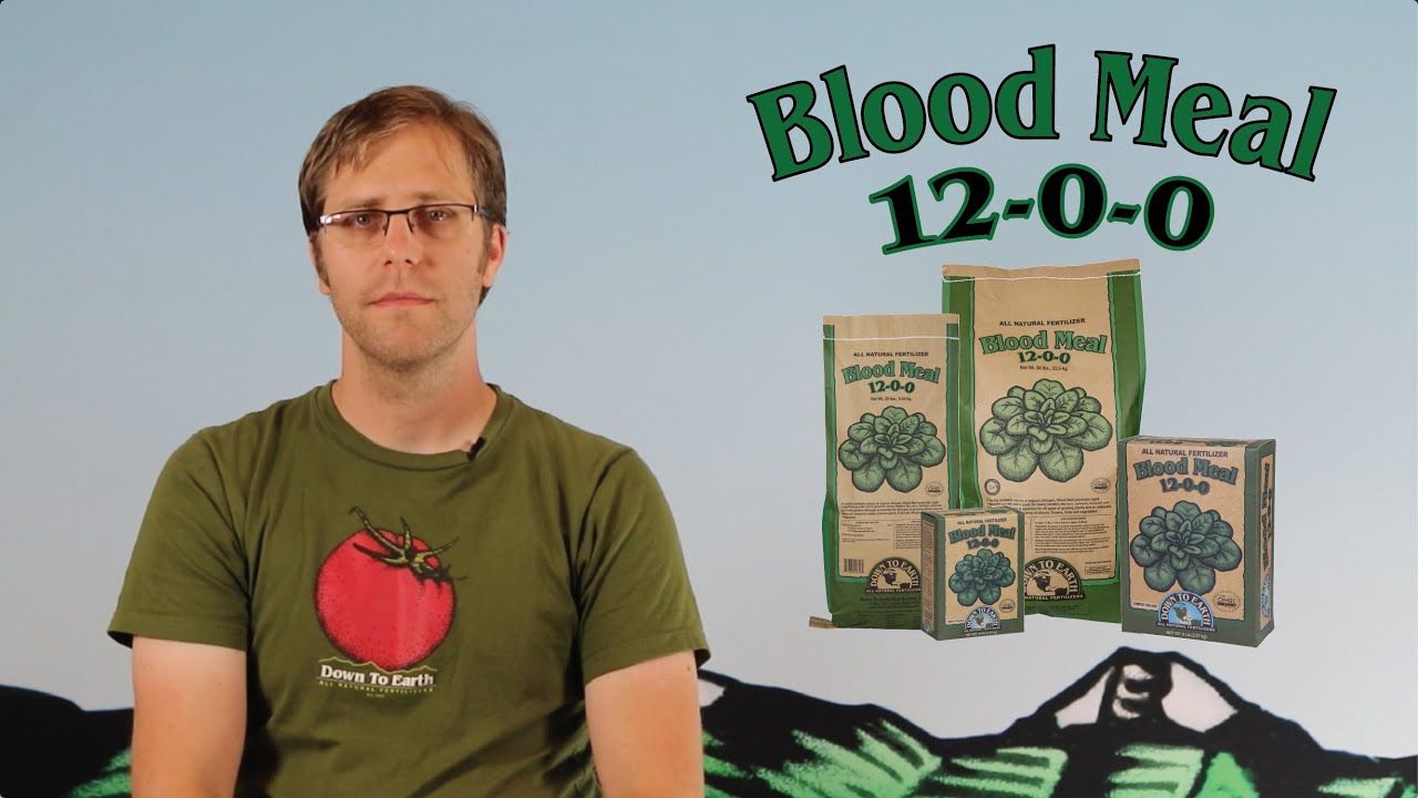 Blood Meal 12-0-0 (Down to Earth)