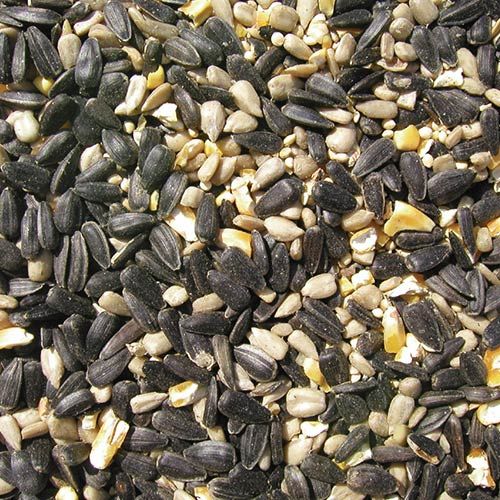 Cole's® Blue Ribbon Blend
