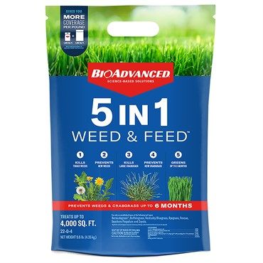 Bioadvanced 5 in 1 Weed and Feed