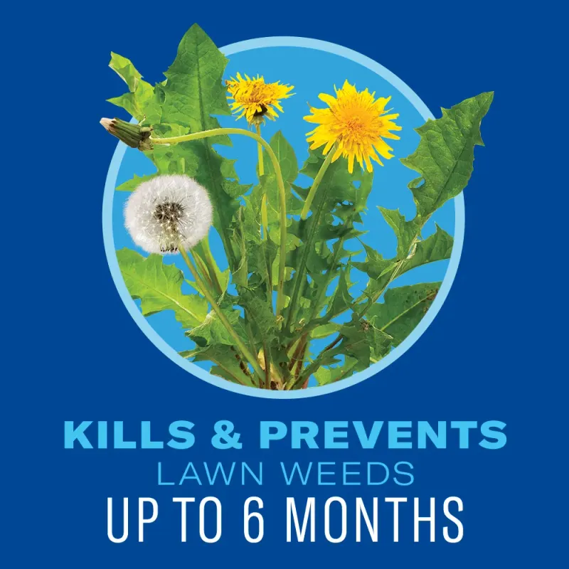Bioadvanced 5 in 1 Weed and Feed