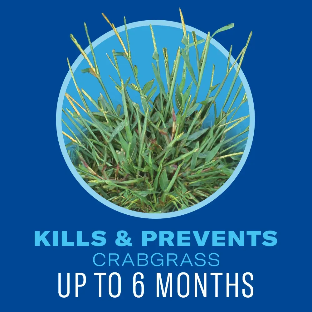 Bioadvanced 5 in 1 Weed and Feed