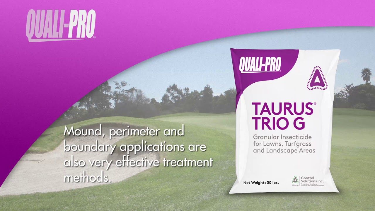 QP Taurus Trio G