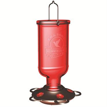 Classic Brands™ Elixir Glass Hummingbird Feeder