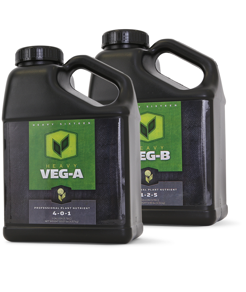 Heavy 16 Veg A &amp; B