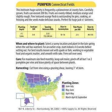 Wetsel Seed™ Heirloom Connecticut Field Pumpkins