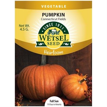 Wetsel Seed™ Heirloom Connecticut Field Pumpkins Wetsel Seed™ Heirloom Connecticut Field Pumpkins