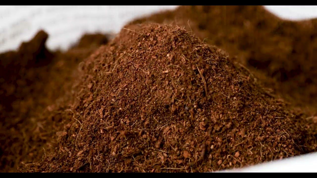 Char Coir Coirganic Coco, Loose Fill 100% Organic Coco Coir