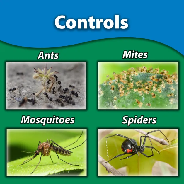 Monterey Mite &amp; Insect Control