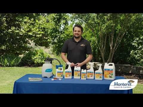 Monterey Mite &amp; Insect Control