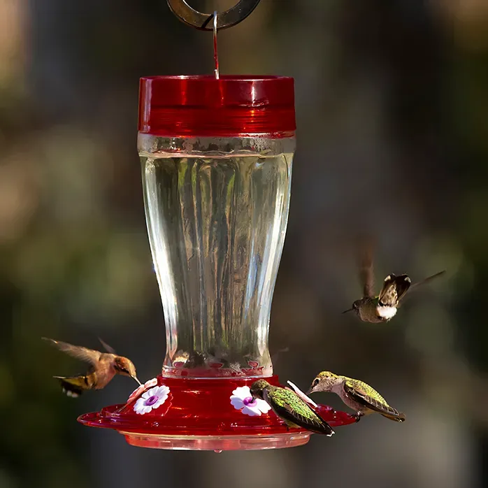 Classic Brands™ Big Gulp Glass Hummingbird Feeder