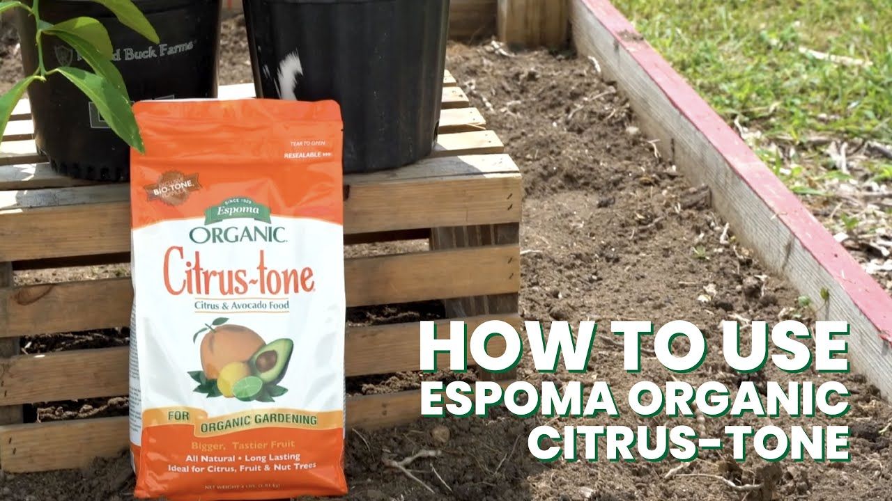 Espoma Citrus Tone