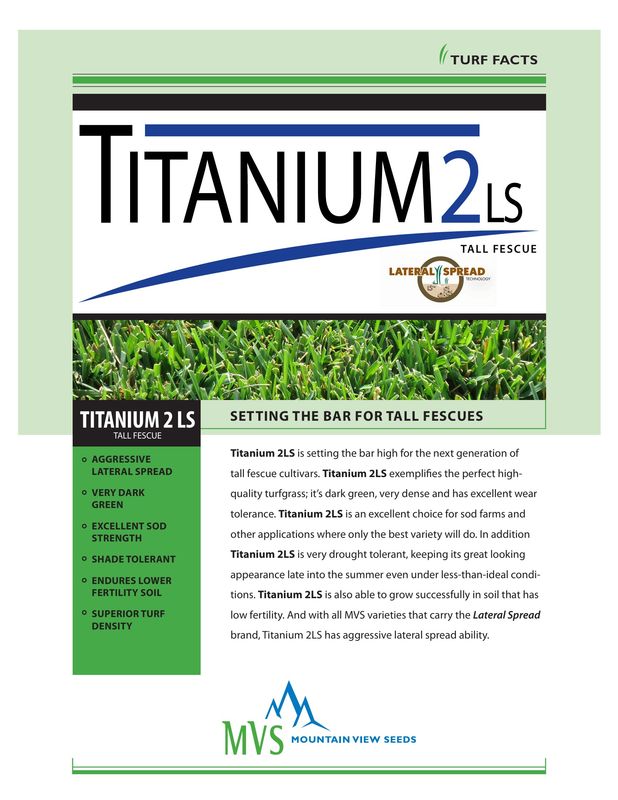 Titanium 2LS Tall Fescue Seed