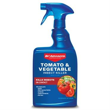 BioAdvanced® Tomato &amp; Vegetable Insect Killer
