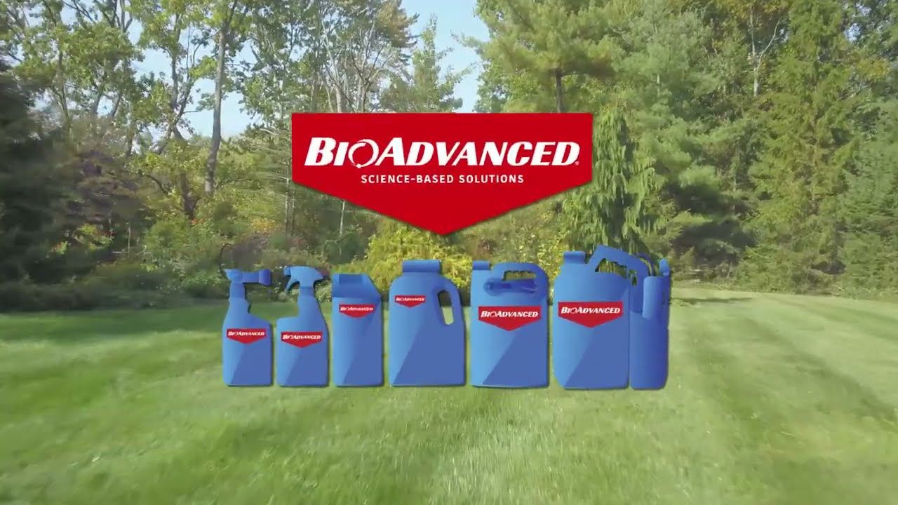 BioAdvanced® Tomato &amp; Vegetable Insect Killer
