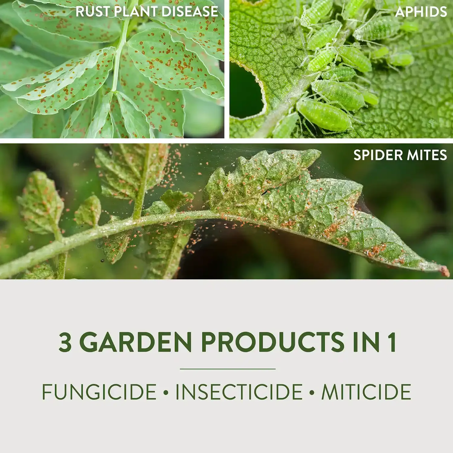 Garden Safe® Brand Fungicide3