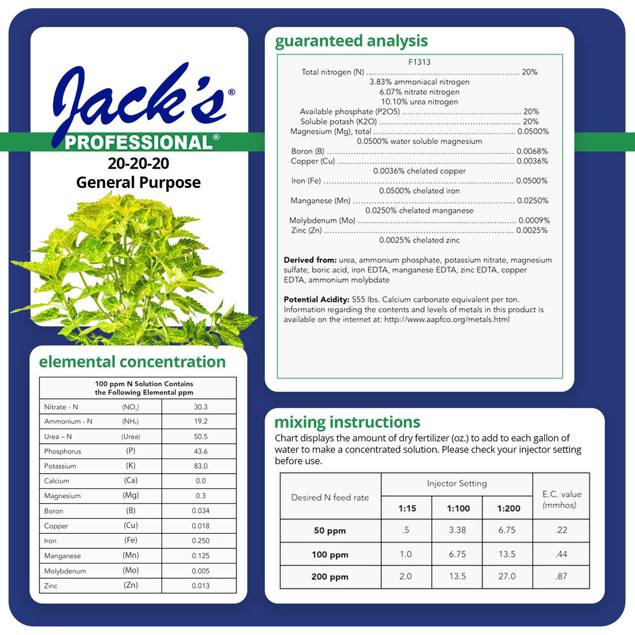Jack's Professional 20-20-20