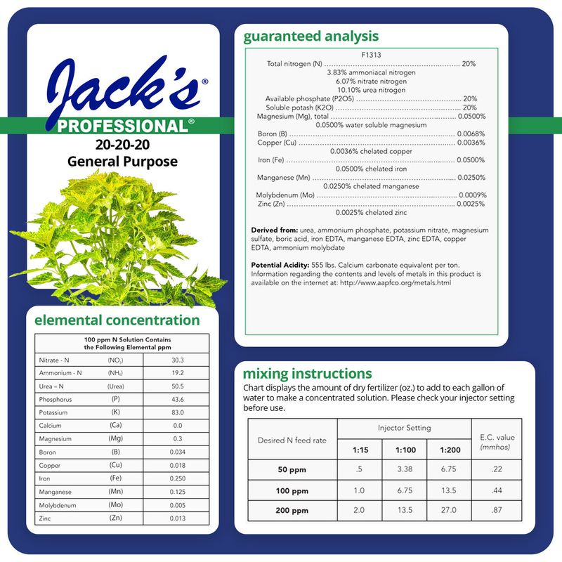 Jack's Professional 20-20-20