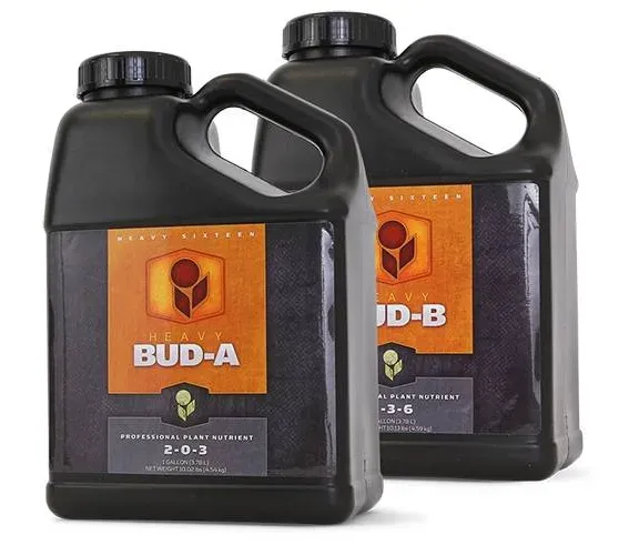 Heavy 16 Bud A (10 Liters)