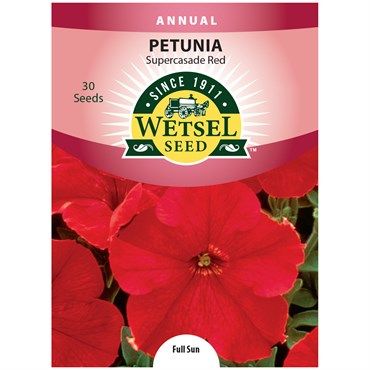 Wetsel Seed⢠Supercascade Red Petunia (150 seeds)