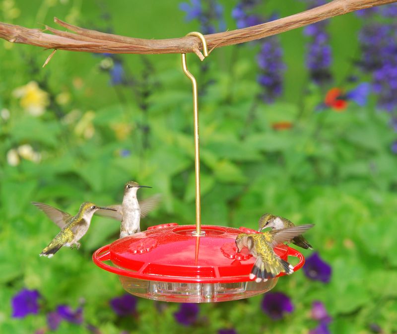 Aspects® HummZinger® Ultra Hummingbird Feeder