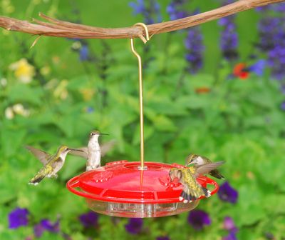 Aspects® HummZinger® Ultra Hummingbird Feeder