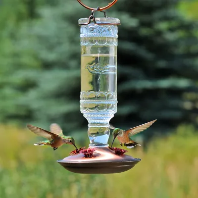 Perky-Pet® Antique Bottle Glass Hummingbird Feeder