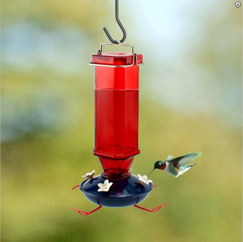 Audubon® Vintage Glass Hummingbird Feeder
