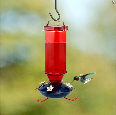 Audubon® Vintage Glass Hummingbird Feeder