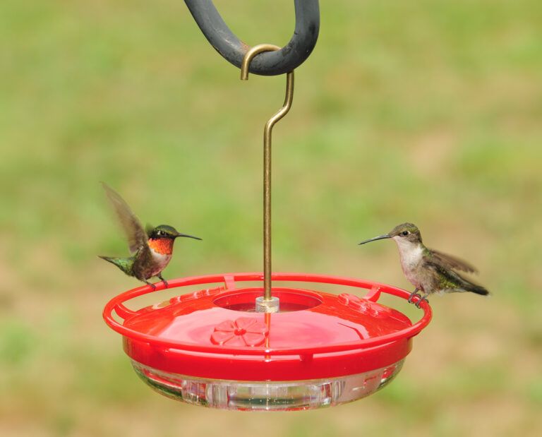 Aspects® HummZinger® HighView® Mini Hummingbird Feeder