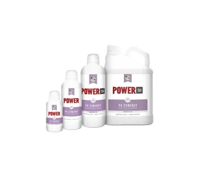 Power PK Synergy