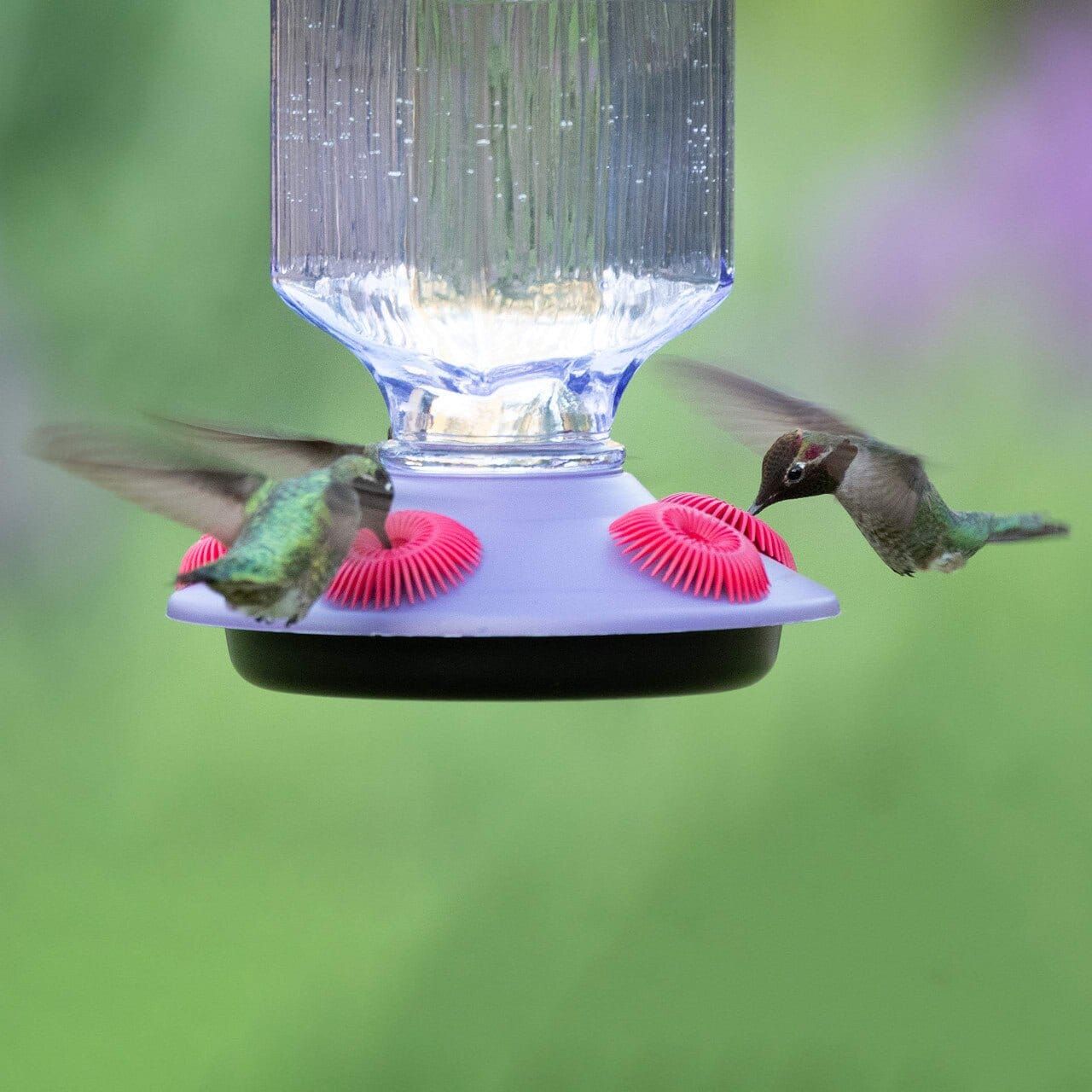 Perky-Pet® Top Fill Decorative Hummingbird Feeders