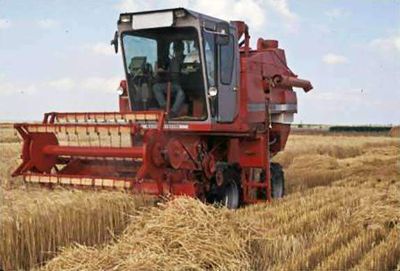 PenningtonĀ® Coker 227 Oats Seed